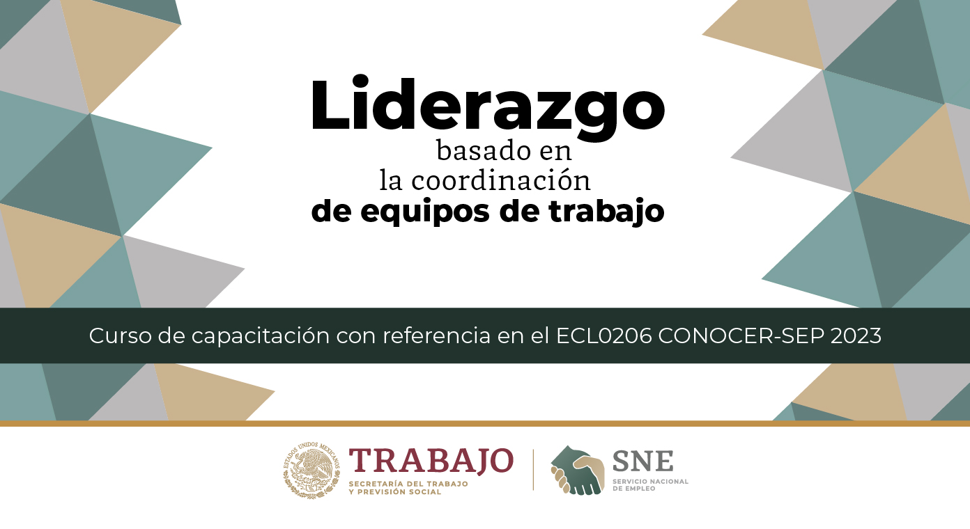 Liderazgo basado en la coordinación de equipos de trabajo SNE